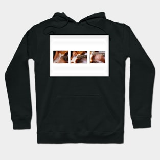 Just Playing Guitar Hoodie